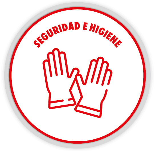 SEGURIDAD